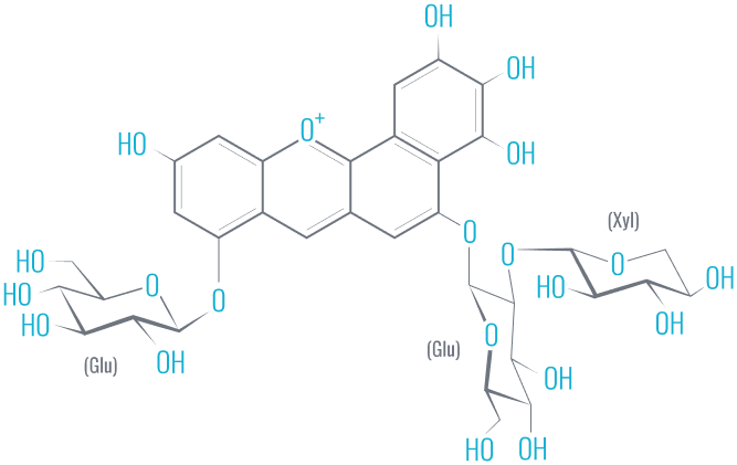 большое число гидроксильных групп