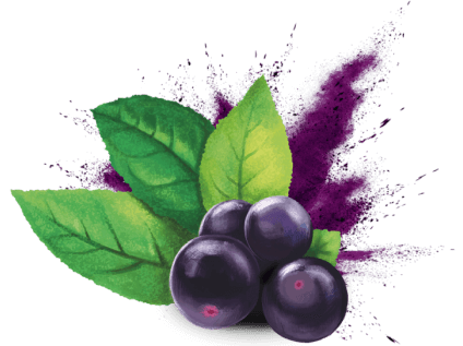 снижает уровень оксидативного стресса