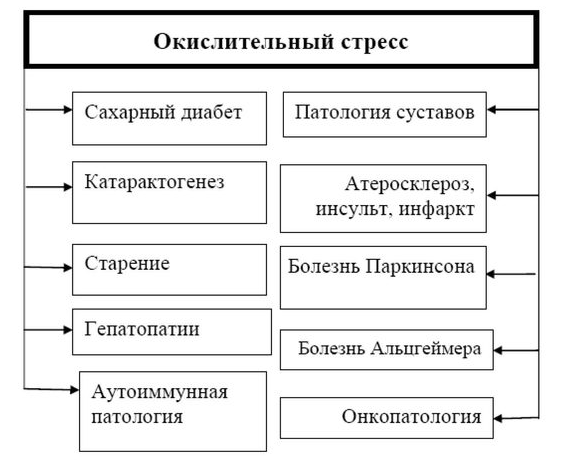 Многообразие патологии, ассоциированной с развитием окислительного стресса