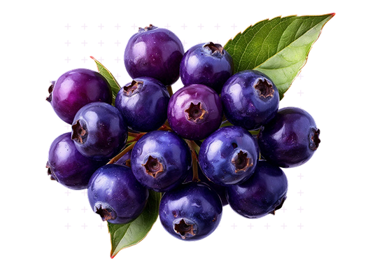 Активный компонент DELPHANTO<sup>®</sup> — MaquiBright<sup>®</sup>