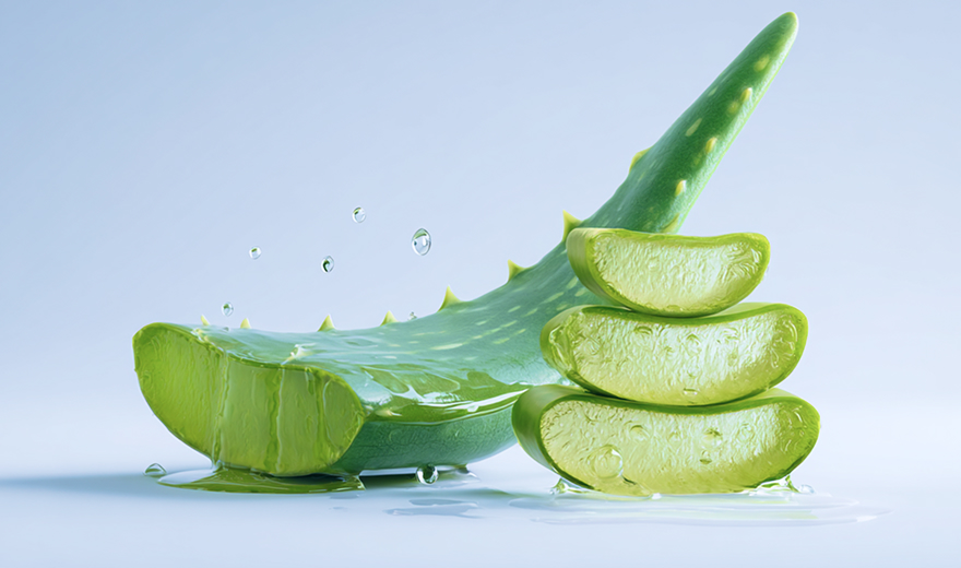 Экстракт сока алоэ снимает раздражение, успокаивает и тонизирует кожу, помогает ей восстанавливаться.